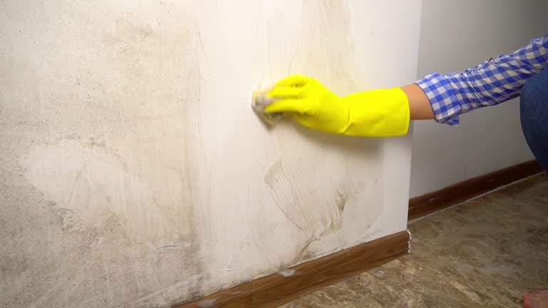 Best Mold Prevention Services  in Pleasant Run, OH