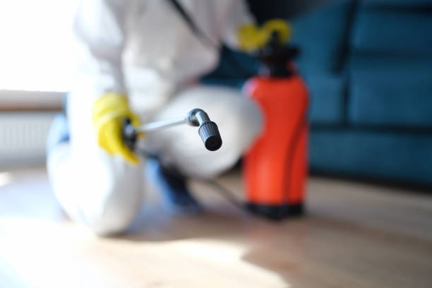 Reliable Pleasant Run, OH Mold Removal Solutions